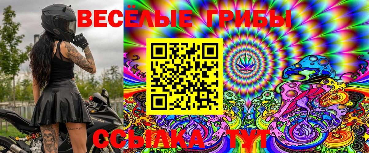 Галлюциногенные грибы Psilocybe Луга