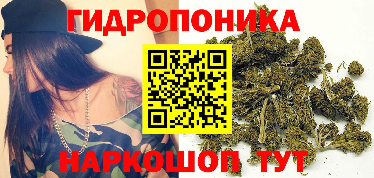 Каннабис OG Kush Луга
